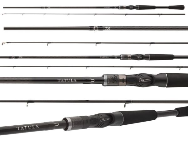 Daiwa Tatula XT Casting Rod