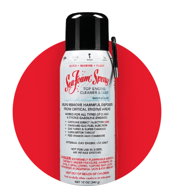SeaFoam Spray Top Engine Cleaner & Lube