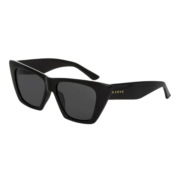 Carve York Gloss Black Sunglasses