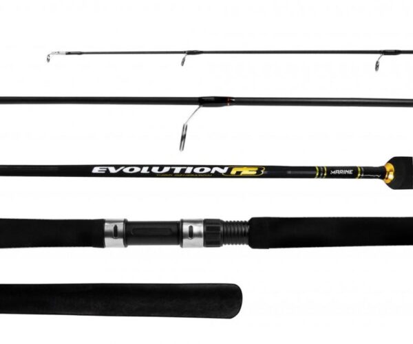 Marine Sports Evolution G3 Spinning Rod